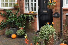 Autumn at The Upper Mews